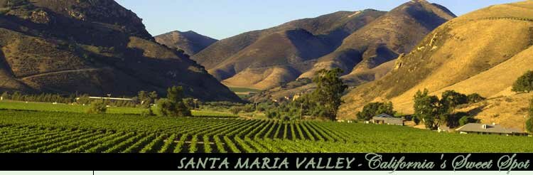 santa maria valley wine trail